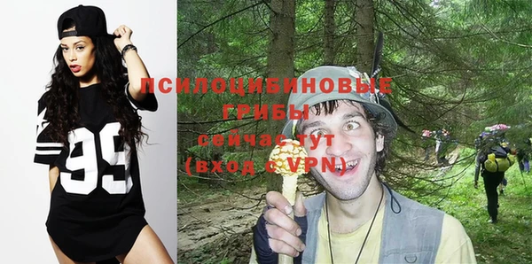 spice Абаза