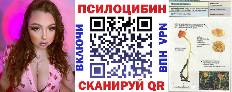 darknet формула  Александров  Галлюциногенные грибы Psilocybine cubensis 